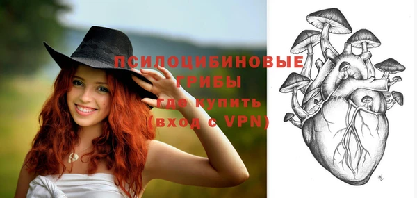 герыч Мегион