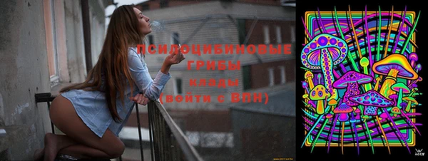 герыч Мегион
