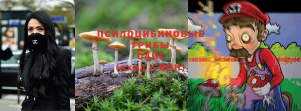 не бодяженный Медвежьегорск