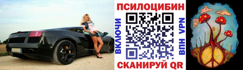 Псилоцибиновые грибы Psilocybine cubensis  даркнет сайт  Кореновск 
