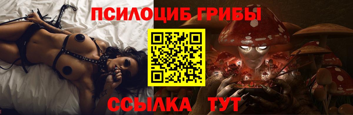 Кореновск  Галлюциногенные грибы GOLDEN TEACHER  Псилоцибиновые грибы Magic Shrooms  Вход с VPN 